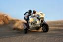 Sand Dunes Roosting